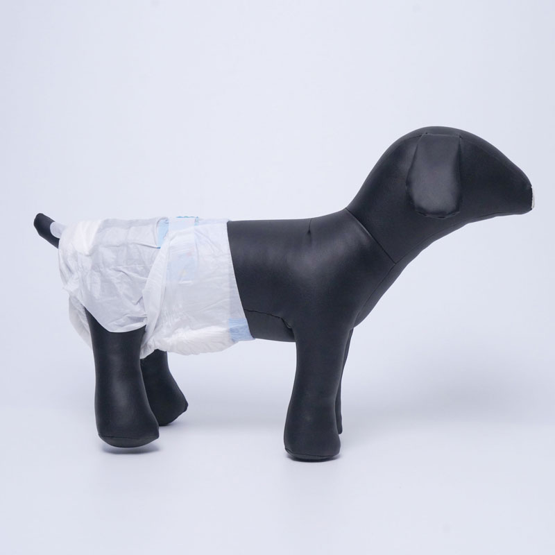 Disposable Puppy Cat Diaper For Male And Female — Aishule Hygiene Products manufacturer