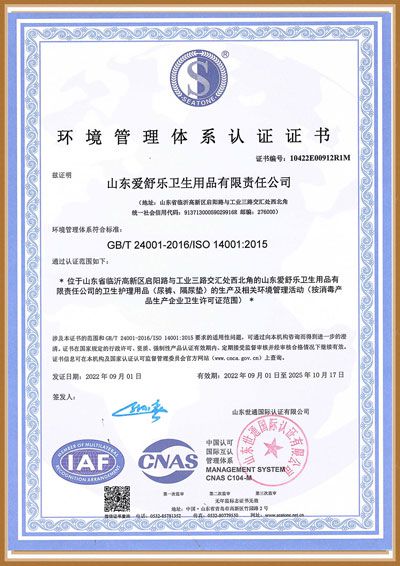 Aishule ISO 14001:2015 certificate