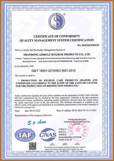 Aishule ISO 9001:2015 certificate