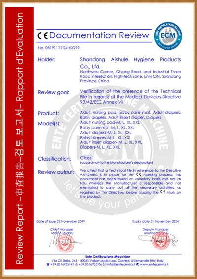 Aishule CE Certification certificate