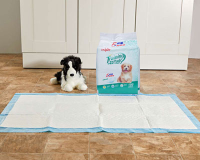 Pet care products — Aishule Hygiene Products